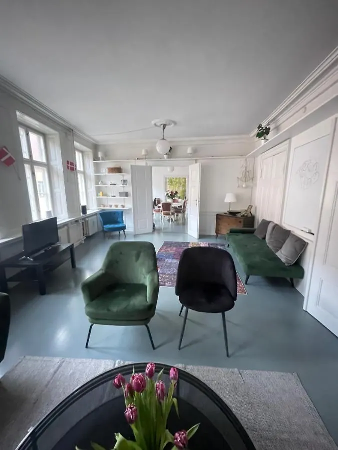 Cosy Penthouse Apartment In The Heart Of Copenhagen